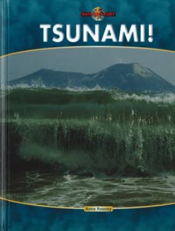 Nature's Fury: Tsunami! by Liz Macdonald