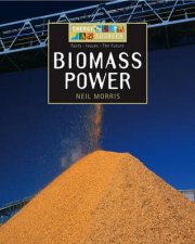 Energy Sources Biomass Power