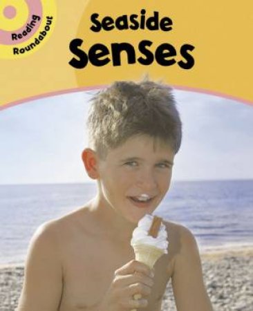 Reading Roundabout: Seaside Senses by Paul Humphrey