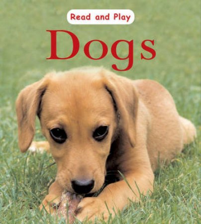 Read And Play: Dogs by Jim Pipe