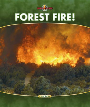 Nature's Fury: Forest Fire! by Anita Ganeri 