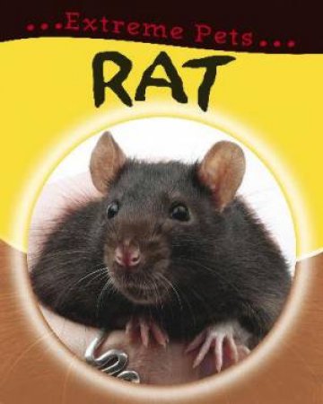 Extreme Pets: Rat by Deborah Chancellor