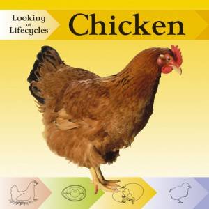 Looking at Lifecycles: Chicken by Victoria Huseby