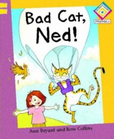 Bad Cat, Ned! by Ann Bryant