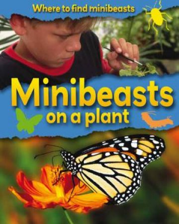 Where to Find Minibeasts: Minibeasts on a Plant by Sarah Ridley