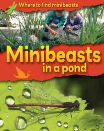 Where to Find Minibeasts:In a Pond by Sarah Ridley