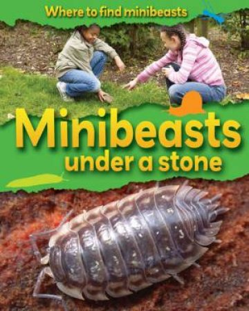 Where to Find Minibeasts: Under a Stone by Sarah Ridley