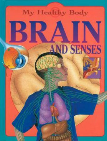 My Healthy Body: Brain and Senses by Jen Green