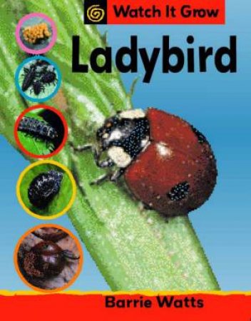 Watch it Grow: Ladybird by Barrie Watts