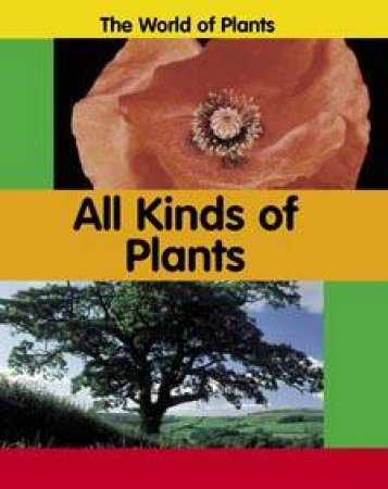 The World Of Plants: All Kinds Of Plants by Carrie Branigan