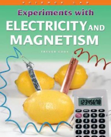 Science Lab: Experiments with Electricity and Magnetism by Sally Henry