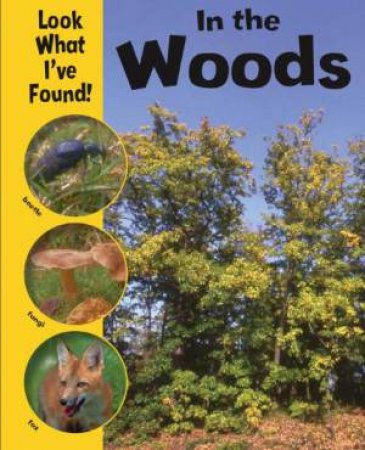 Look What I Found: In the Woods by Paul Humphrey