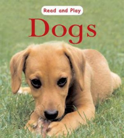 Read and Play: Dogs by Jim Pipe