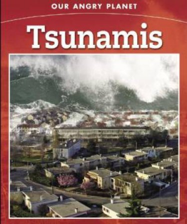 Our Angry Planet: Tsunamis by Anne Rooney