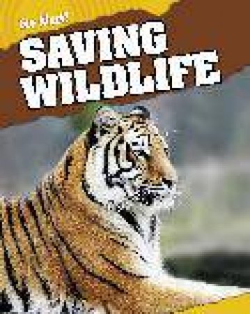 Eco Alert: Saving Wildlife by Rebecca Hunter