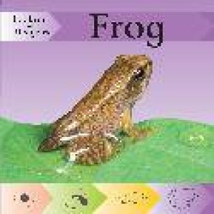 Looking at Lifecycles: Frog by Victoria Huseby