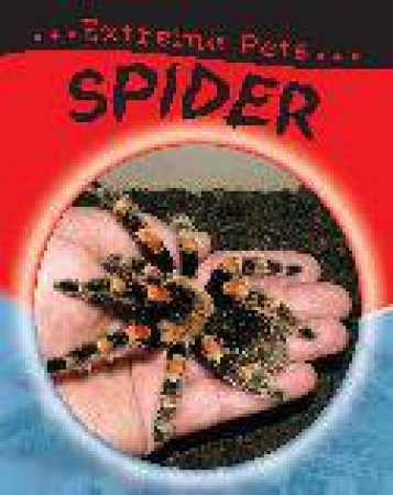 Extreme Pets: Spider by Selina Wood