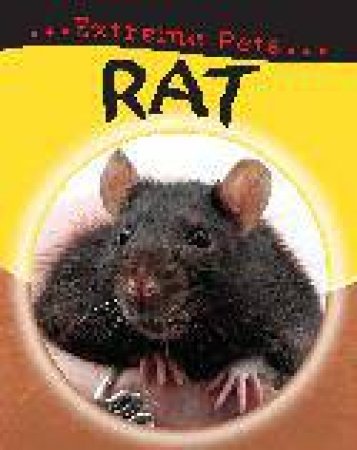 Extreme Pets: Rat by Deborah Chancellor