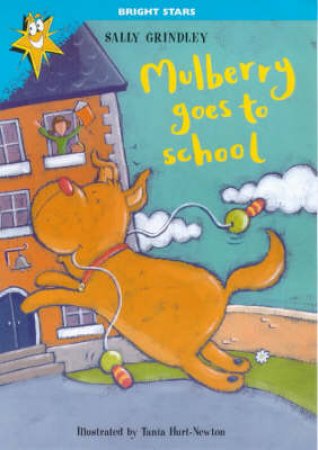 Bright Stars: Mulberry Goes School by Sally Grindley