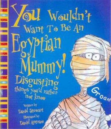 You Wouldn't Want To Be An Egyptian Mummy! by David Stewart