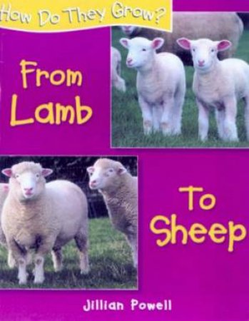 How Do They Grow?: From Lamb To Sheep by Jillian Powell