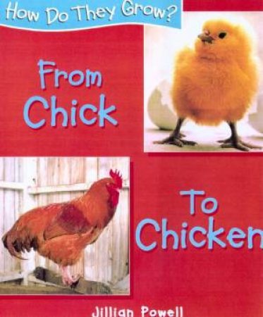 How Do They Grow?: From Chick To Chicken by Jillian Powell