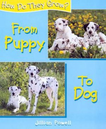 How Do They Grow?: From Puppy To Dog by Jillian Powell