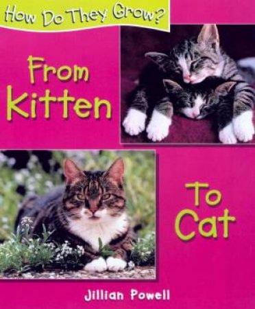 How Do They Grow?: From Kitten To Cat by Jillian Powell