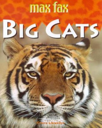 Max Fax: Big Cats by Claire Llewellyn