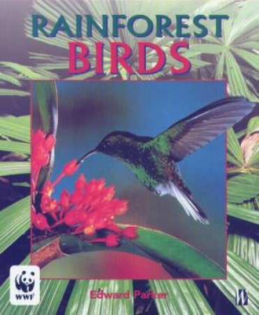 Rainforest: Birds by Edward Parker