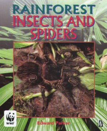 Rainforest: Insects And Spiders by Edward Parker