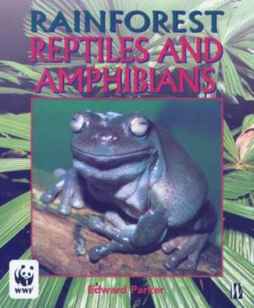 Rainforest: Reptiles And Amphibians by Edward Parker