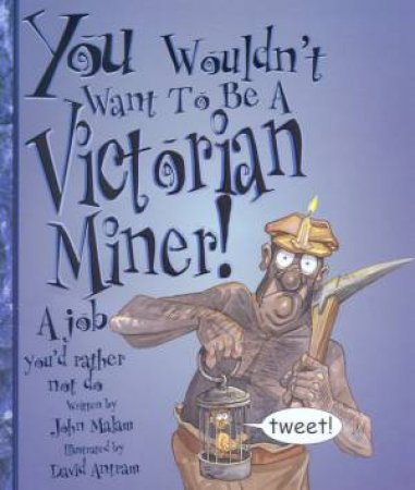 You Wouldn't Want To Be A Victorian Miner! by John Malam