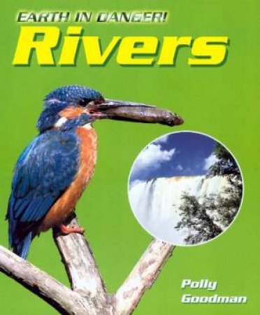 Earth In Danger: Rivers by Polly Goodman