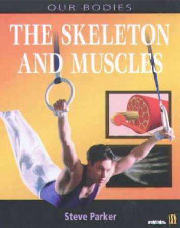 Our Bodies: The Skeleton And Muscles by Steve Parker