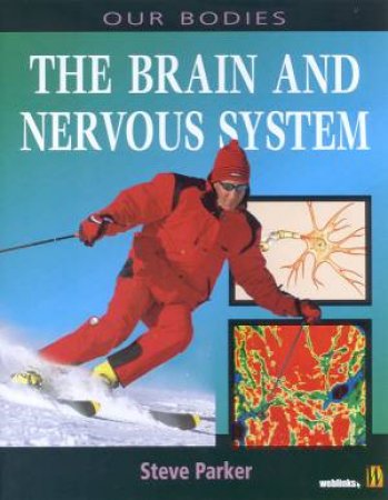 Our Bodies: The Brain And Nervous System by Steve Parker