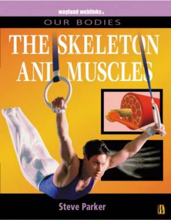 Our Bodies: The Skeleton And Muscles by Steve Parker