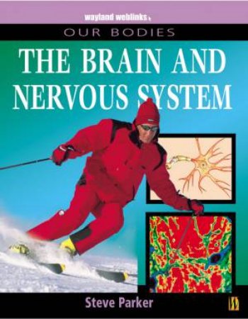 Our Bodies: The Brain And Nervous System by Steve Parker