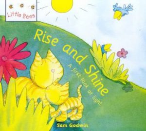 Little Bees: Rise And Shine by Sam Godwin