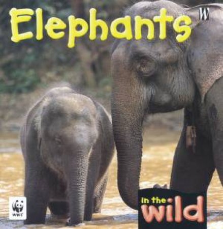 In The Wild: Elephants by Patricia Kendell