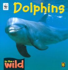 In The Wild Dolphins