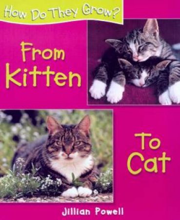 How Do They Grow?: From Kitten To Cat by Jillian Powell