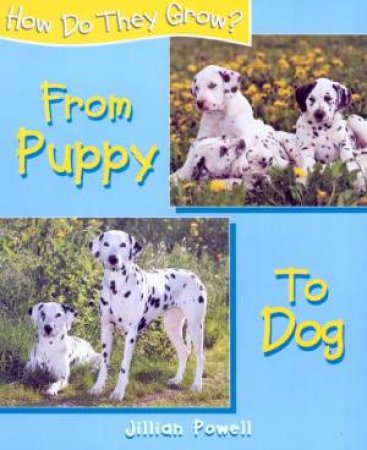 How Do They Grow?: From Puppy To Dog by Jillian Powell