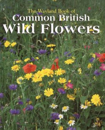 The Wayland Book Of Common British Wild Flowers by Theresa Greenaway