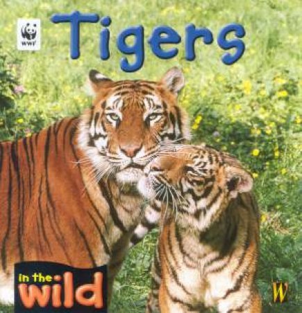 In The Wild: Tigers by Patricia Kendell