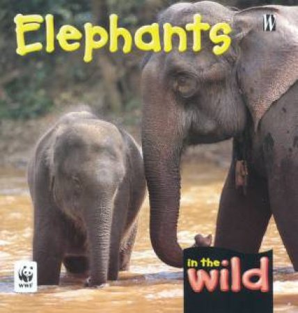 In The Wild: Elephants by Patricia Kendell