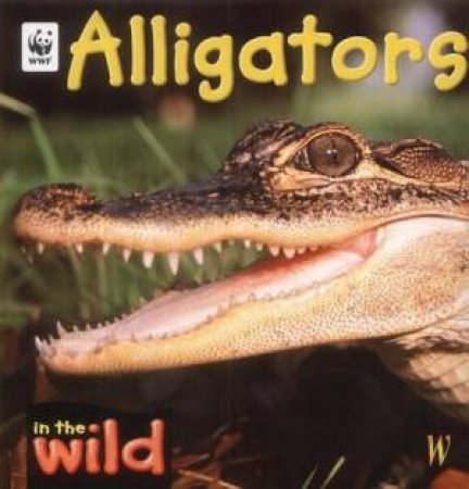 In The Wild: Alligators by Patricia Kendell