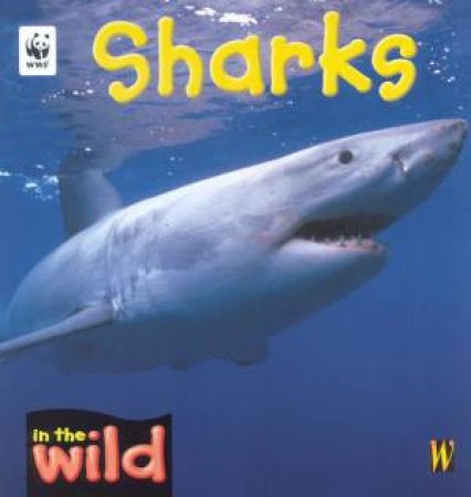 In The Wild: Sharks by Pat Kendell