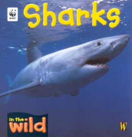 In The Wild: Sharks by Pat Kendell