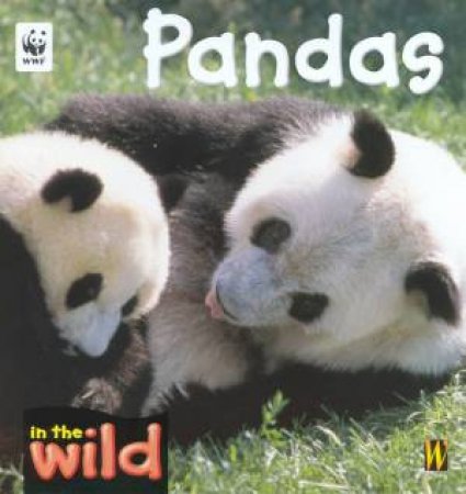 In The Wild: Pandas by Pat Kendell